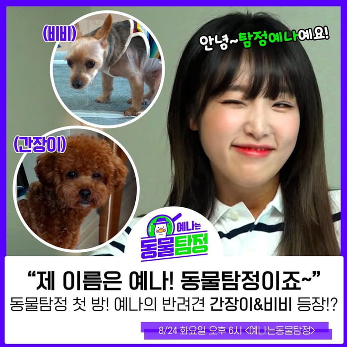 Photo : 210824 - studiowaffle Instagram Update - Animal Detective Yena at 6 PM KST (the first animals featured is her dogs, Ganjang and Bibi)