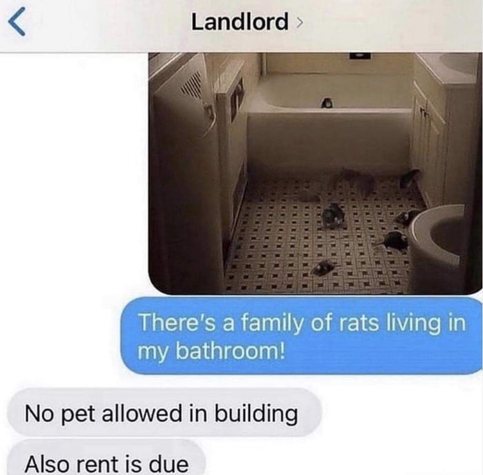 Landlords be like