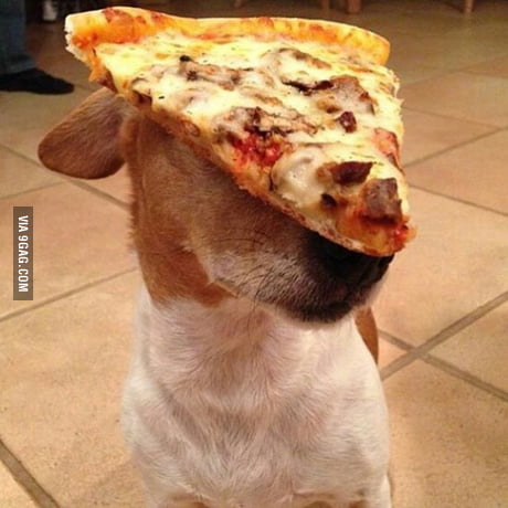 Pizza Is Love Pizza Is Life 9gag