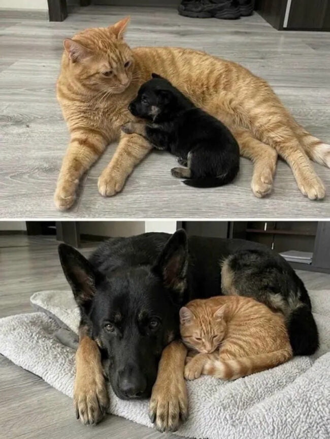 Time flies.