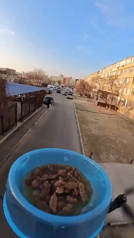 A Drone Delivers Food To Rooftop Kittens