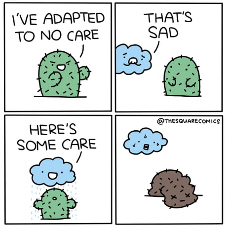 Best Funny cactus Memes - 9GAG