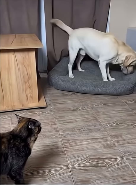 Typical interaction