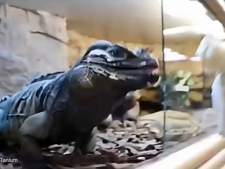 Why Women Live Longer