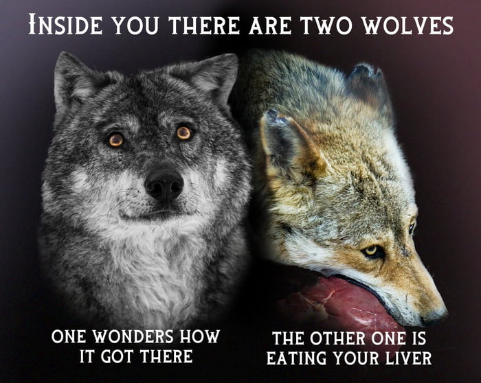 Wolves Pt. 3 - 9GAG