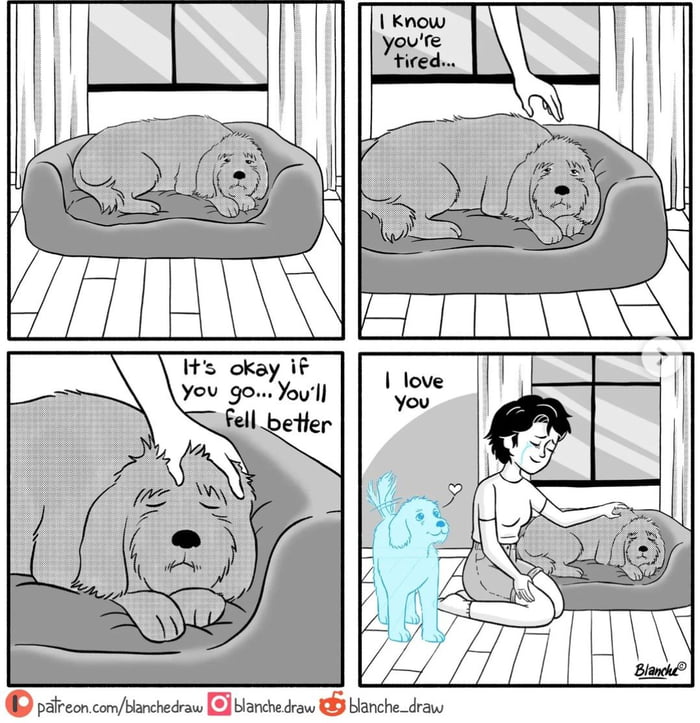 dog-passed-away-last-month-this-one-hits-home-9gag