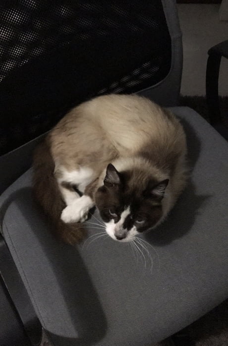 Best 30 Old Friend Fun On 9gag