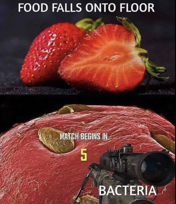 5 Second Rule 9GAG