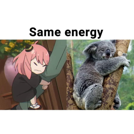 Same energy - 9GAG