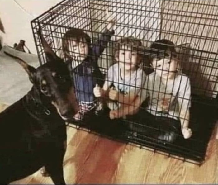 My neighbor Can I leave my kids at you again for a couple of hours? But they didn’t like your