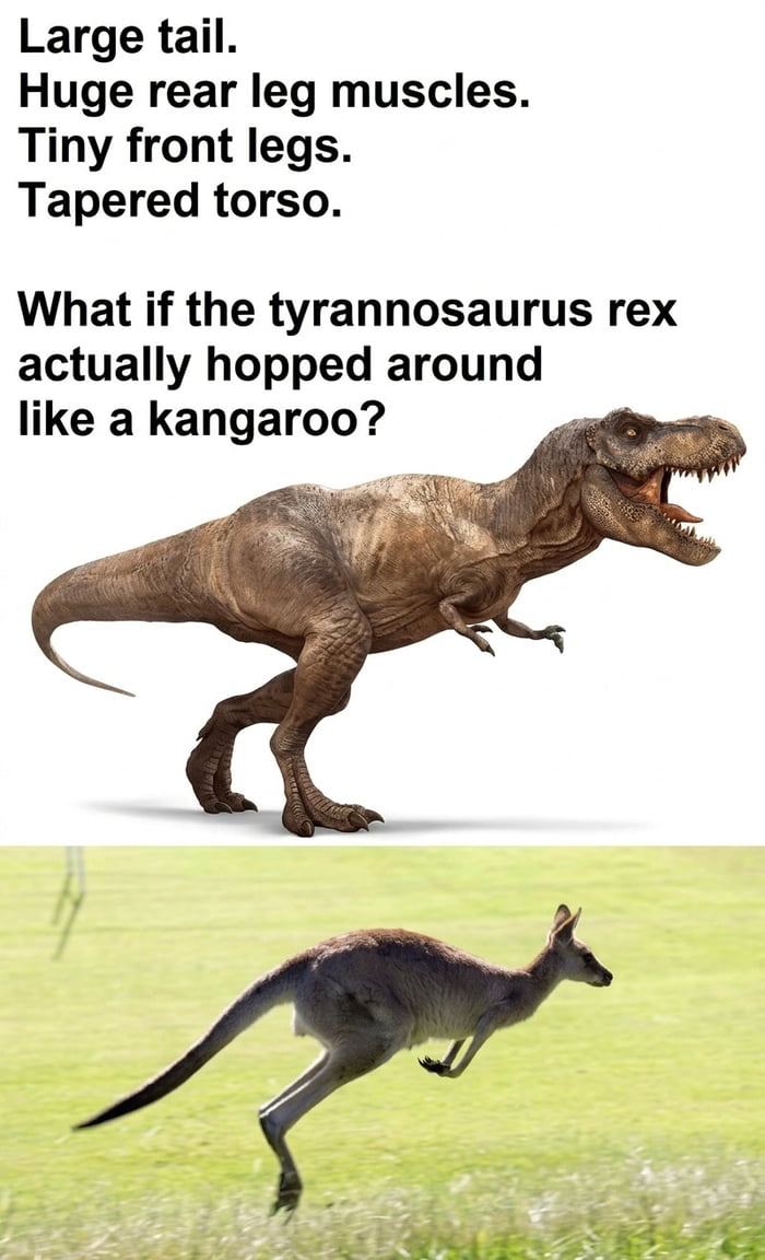 Rex on the Run