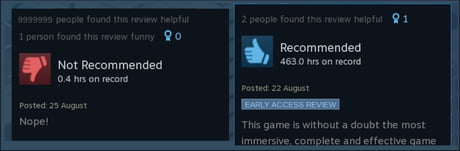 This review on the front page of steam - 9GAG