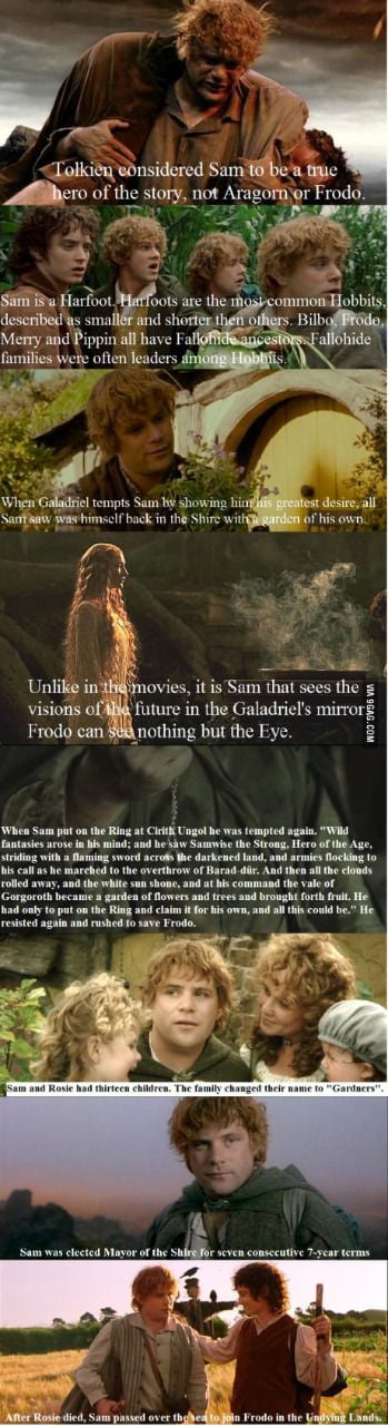 And there is Sam. The best hobbit ever - 9GAG