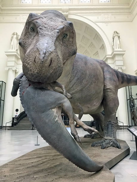 The new model of SUE the T. rex made by Blue Rhino Studios. It's one of the most up to date representations of T. rex and even has scars on the leg where the SUE fossil had an injury.