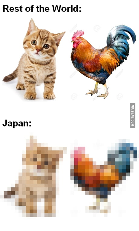 Japanese Censorship 9gag