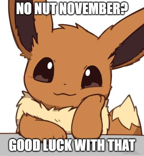 Best Funny eevee Memes - 9GAG