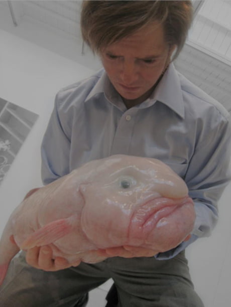 This Blobfish Is the World's Ugliest Animal