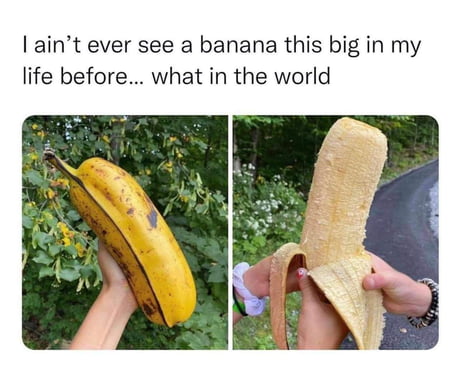 Not the banana for scale