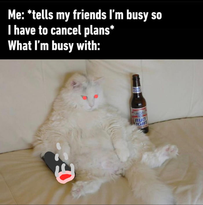 I Have To Cancel Plans Because I Am Busy 9GAG