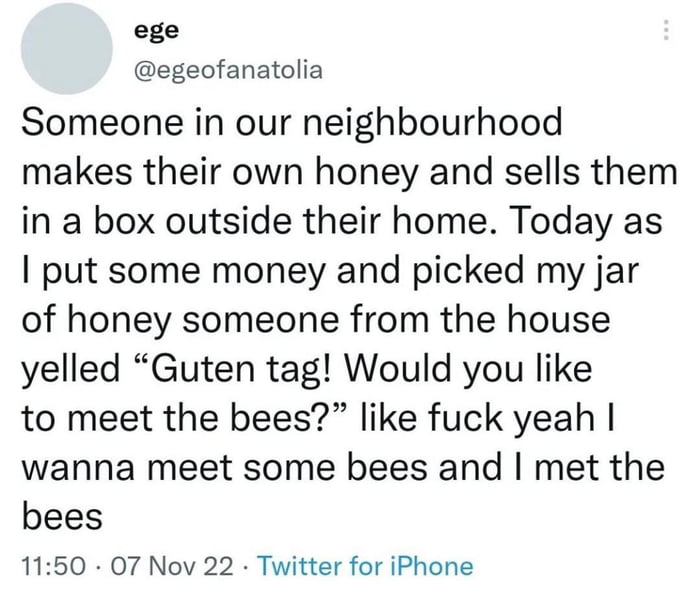 Bees are cool!