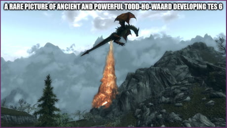 The world needs to know, Todd!  Skyrim funny, Video games funny, Elder  scrolls memes