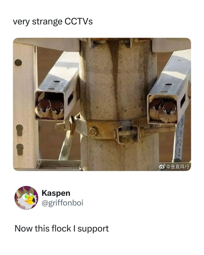 Best security team ever
