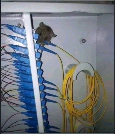 Best Funny fiber Memes - 9GAG
