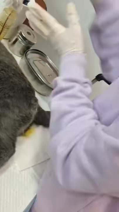 Attention to details matter