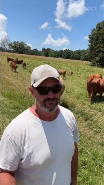 Dragonflies are nature's fighter jets, protecting our farms from pesky flies. Who knew these tiny creatures were such efficient predators