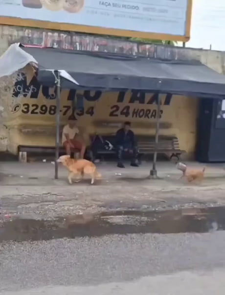 Small acts of kindness can mean everything.