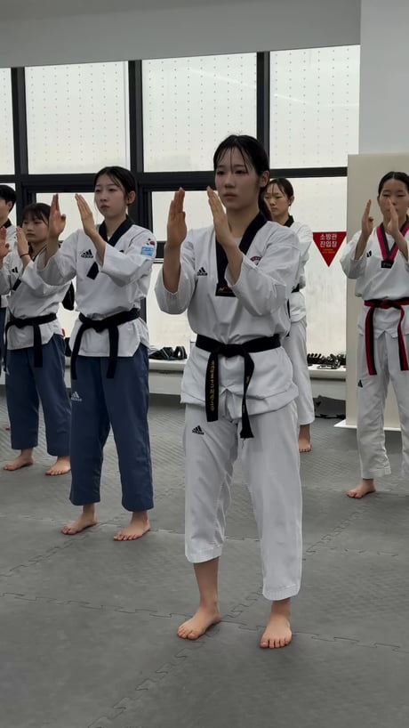 Taekwondo