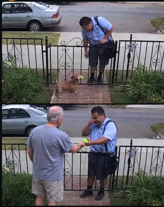 For five years a dog greeted the mailman with his tennis ball until one day the owner came out holding it instead