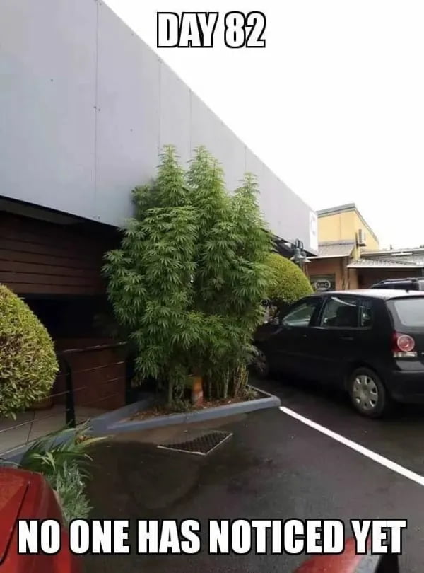 Nothing happening there