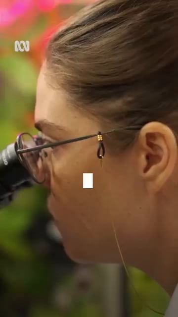 How well do plants filter the air
