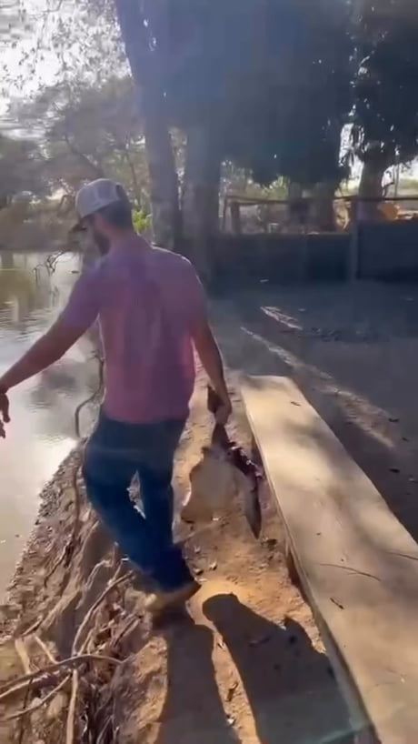 Piranha infested river