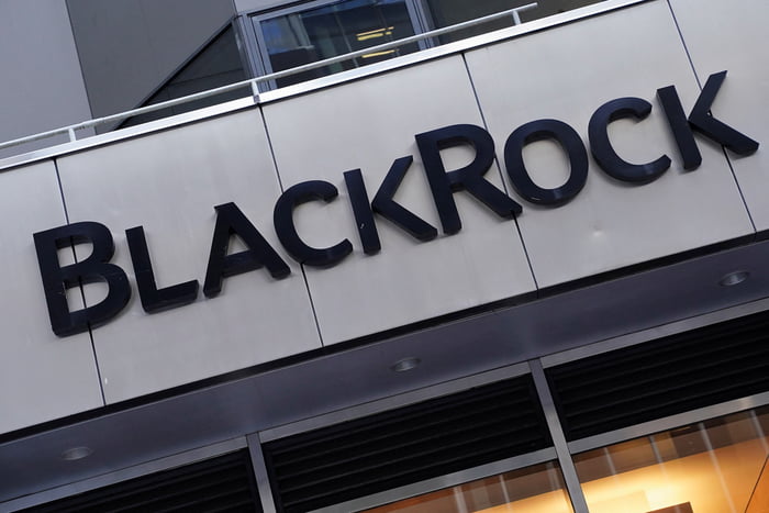 We need a BlackRock detected website, one that outlines all of their shares and investments available to the public. Then we can 'try' to avoid their stuff as much as possible.
