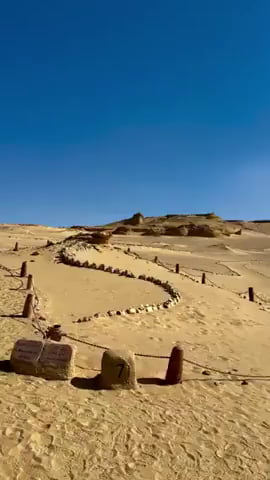 37 Million Years Old Whale Spine found in the hot dunes of Egypt