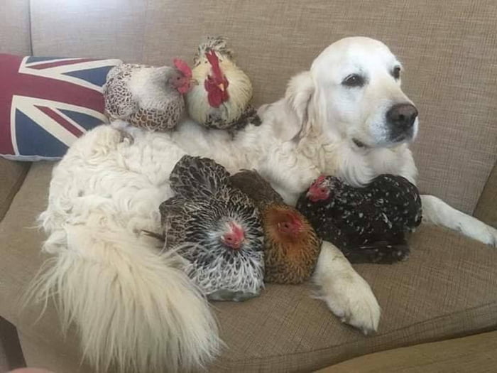 Hanging out with buddies