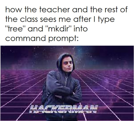 hackerman - #password #hack #computer #memes #9gag