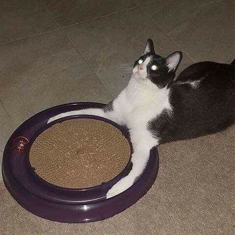 Brother, I have become l&ouml;&ouml;p