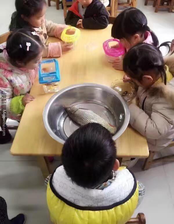 The school required thr students to bring a fish