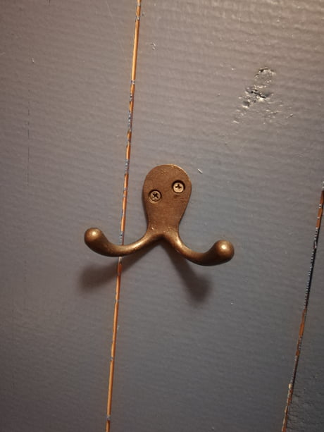 I found another drunk octopus and this one also wants to fight! - 9GAG