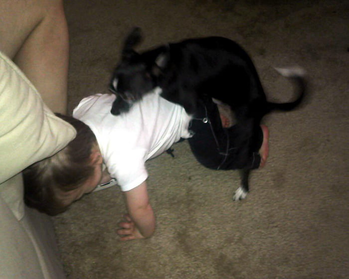Jerk dog makes childhood rough. 9GAG