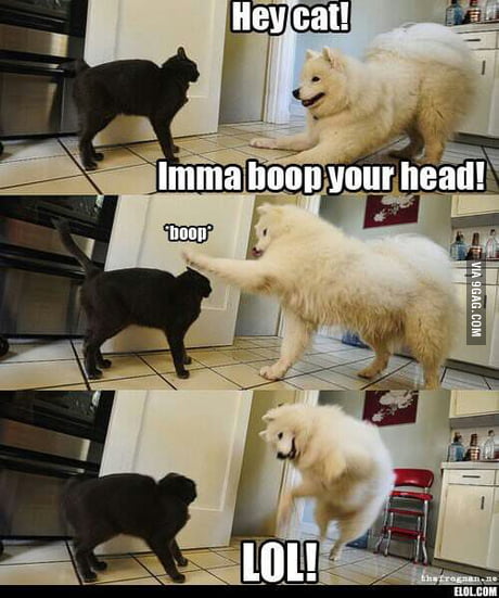 Boop Lol Memes