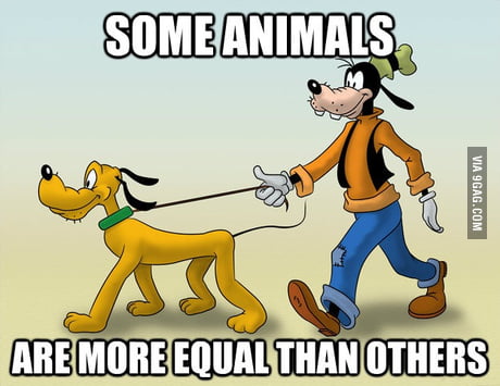 All animals are equal, but... - 9GAG