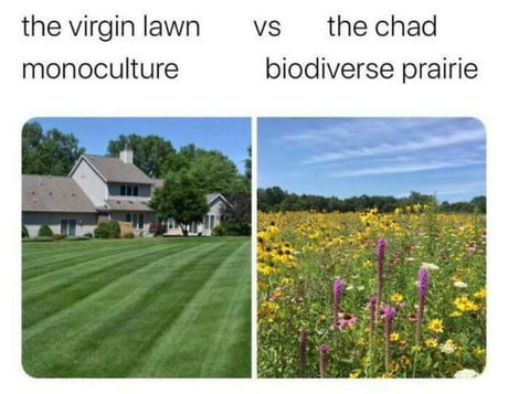 Best Funny flower Memes - 9GAG