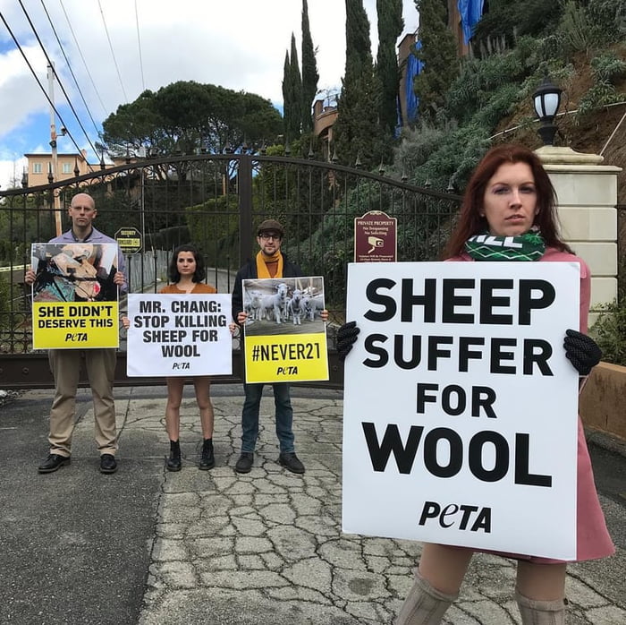 Stop killing sheep for wool - 9GAG