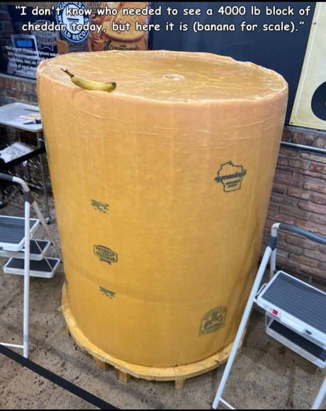 This cheese