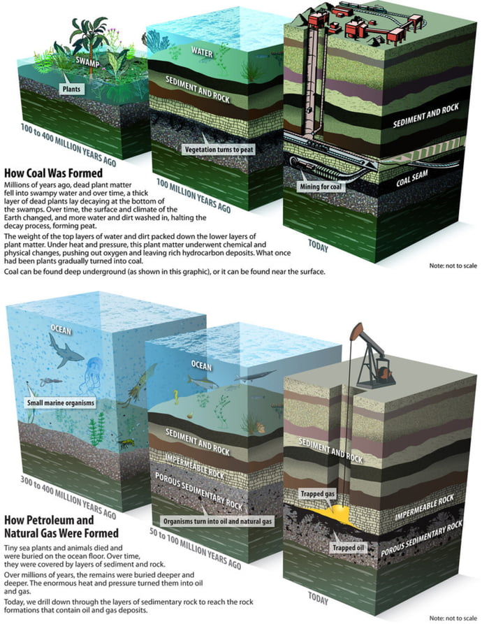 A cool guide to the difference between how coal is formed vs how oil is