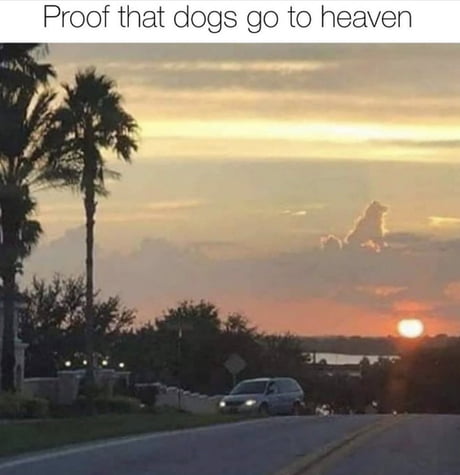 Best Funny sunrise in heaven Memes - 9GAG